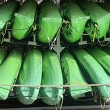Entry image for Get Your Green Bananas Here!