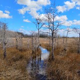 Entry image for The Promise of Blue