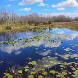 Entry image for Quiet Resilience