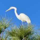 Entry image for Sitting on Top of the World