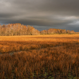 Entry image for Sunset Serenity