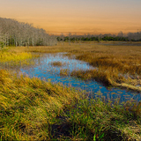 Entry image for Serenity