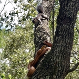 Entry image for Poof and Slithers