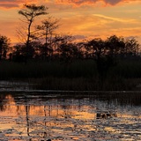 Entry image for Fire in the Sky