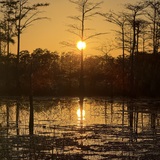 Entry image for Goodnight World