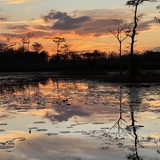 Entry image for Mirror Image