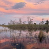 Entry image for Tranquility