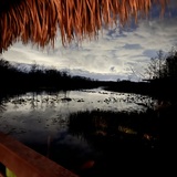 Entry image for Twilight