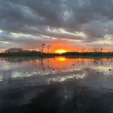 Entry image for Light before the dark 