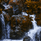 Entry image for Where the Autumn River Flows