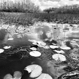 Entry image for Ripples in the Waters