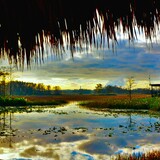 Entry image for colors of the preserve