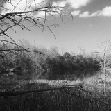 Entry image for Sunday morning kayaking 