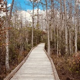 Entry image for Vivid Scene