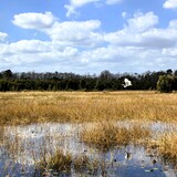 Entry image for Soaring Over the World