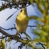 Entry image for snack time