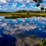 Entry image for Cloud Cover