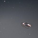 Entry image for Whirling Through Space