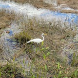 Entry image for On the Hunt