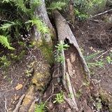 Entry image for What's Inside?