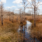 Entry image for Post-Winter