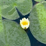 Entry image for Centered