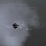 Entry image for Staying Afloat