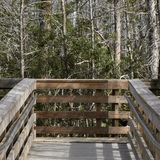 Entry image for The bridge to _______.