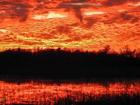 Entry image for The Silence of Red. Clicking this image will show a larger photo