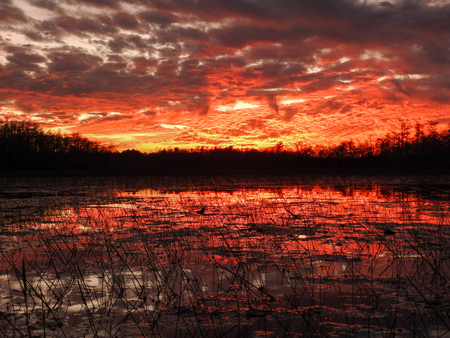 Entry image for Where Red Lingers. Clicking this image will show a larger photo