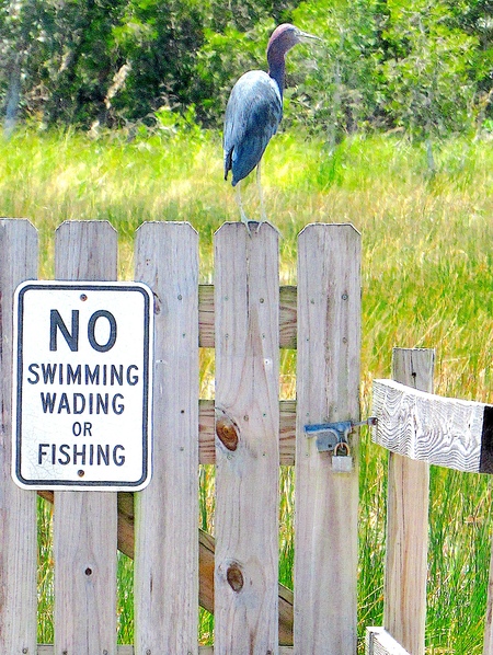 Entry image for Rulebreaker!. Clicking this image will show a larger photo