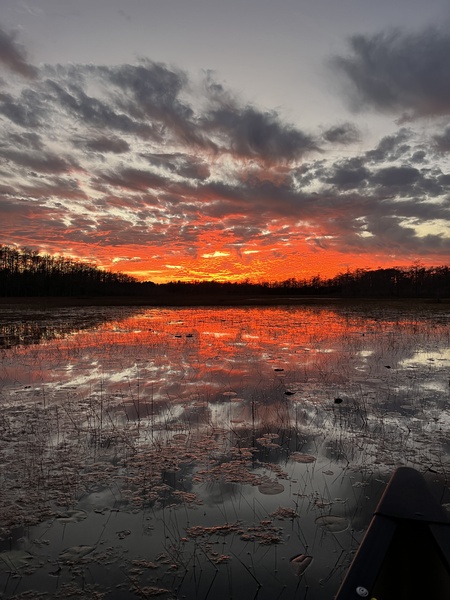 Entry image for Glory. Clicking this image will show a larger photo