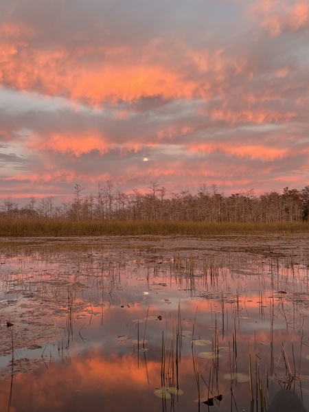 Entry image for Magnificent Moon. Clicking this image will show a larger photo