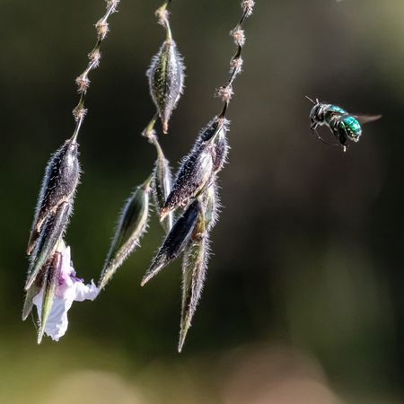 Entry image for In Service of Life. Clicking this image will show a larger photo