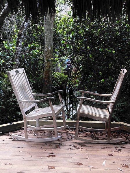 Entry image for “Who’s In the Yard Harry?”. Clicking this image will show a larger photo