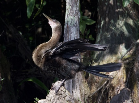 Entry image for See My Smile . Clicking this image will show a larger photo