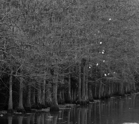 Entry image for Winter Time . Clicking this image will show a larger photo