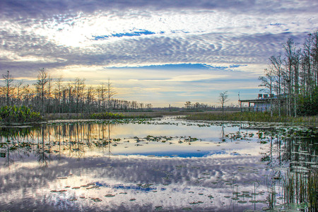 Entry image for Grassy Sunrise. Clicking this image will show a larger photo