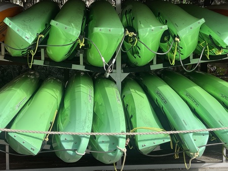 Entry image for Get Your Green Bananas Here!. Clicking this image will show a larger photo