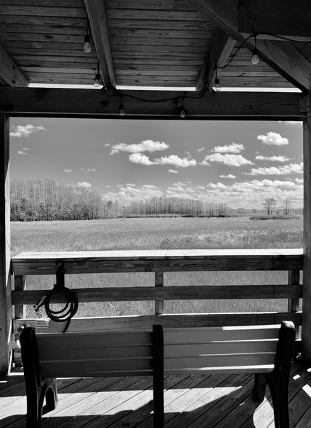 Entry image for Serenity. Clicking this image will show a larger photo