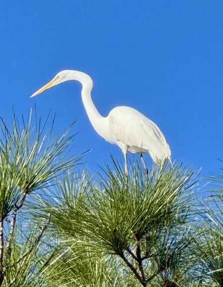 Entry image for Sitting on Top of the World. Clicking this image will show a larger photo
