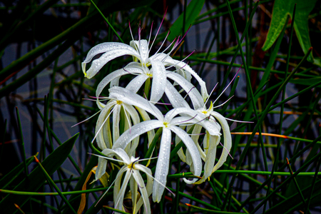 Entry image for After the Rain. Clicking this image will show a larger photo