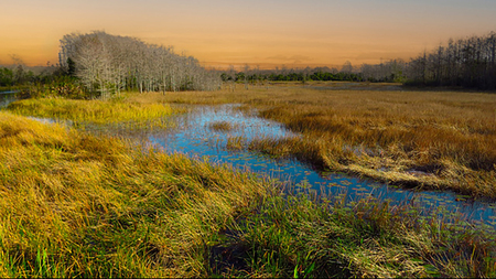 Entry image for Serenity. Clicking this image will show a larger photo