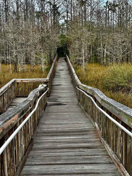 Entry image for Pathway to Heaven . Clicking this image will show a larger photo