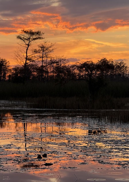 Entry image for Fire in the Sky. Clicking this image will show a larger photo