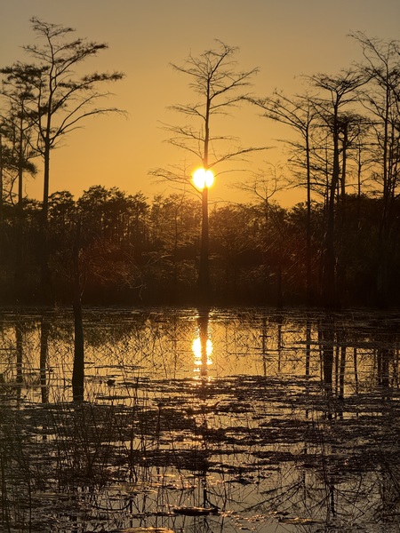 Entry image for Goodnight World. Clicking this image will show a larger photo