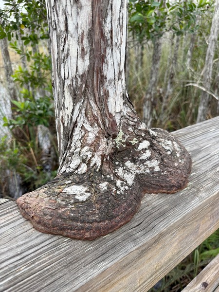 Entry image for I'm Meltinggg. Clicking this image will show a larger photo