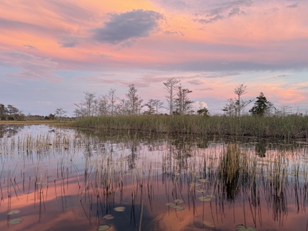 Entry image for Tranquility. Clicking this image will show a larger photo