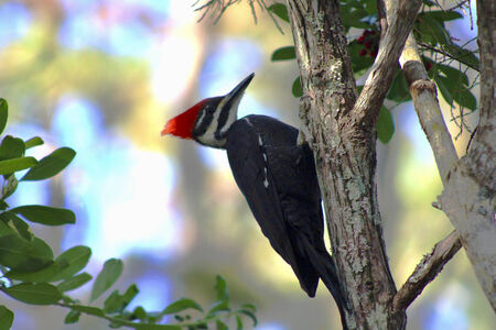 Entry image for I See You. Clicking this image will show a larger photo