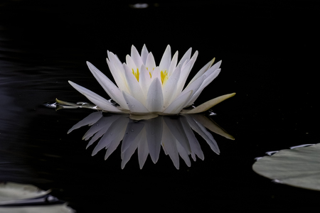 Entry image for reflective elegance. Clicking this image will show a larger photo